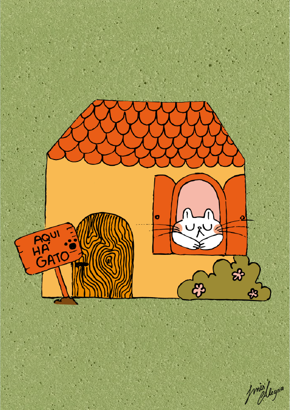 aqui-ha-gato